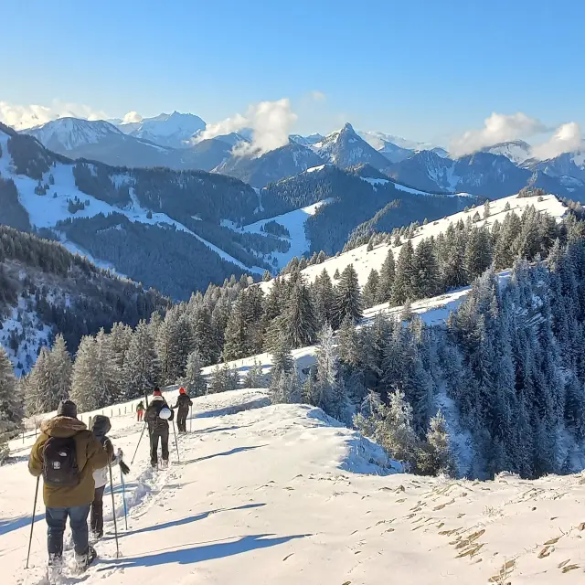 Un groupe de personnes qui randonnent en hiver sous un beau soleil éclatant, sur la neige et en pleine montagne, accompagnés d'un guide d'Alp'Evianature.