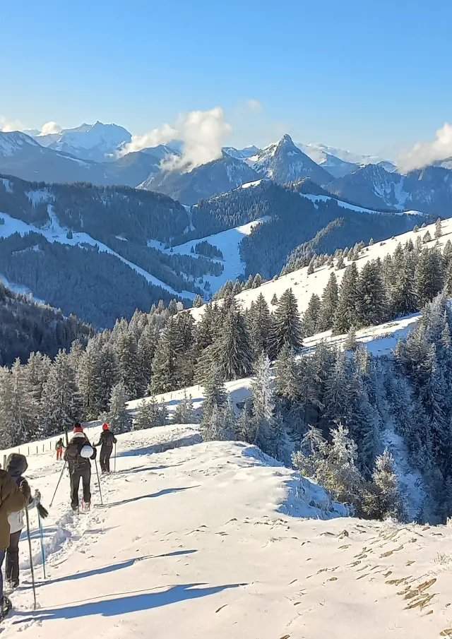 Un groupe de personnes qui randonnent en hiver sous un beau soleil éclatant, sur la neige et en pleine montagne, accompagnés d'un guide d'Alp'Evianature.