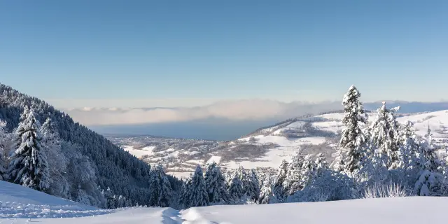 Sur les hauteurs de la station de ski de Bernex, on voit un paysage enneigé avec, en contrebas, une vue sur le Léman et la suisse, de l'autre côté, sous un grand ciel bleu.