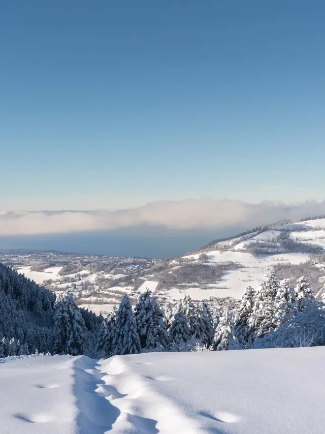 Sur les hauteurs de la station de ski de Bernex, on voit un paysage enneigé avec, en contrebas, une vue sur le Léman et la suisse, de l'autre côté, sous un grand ciel bleu.