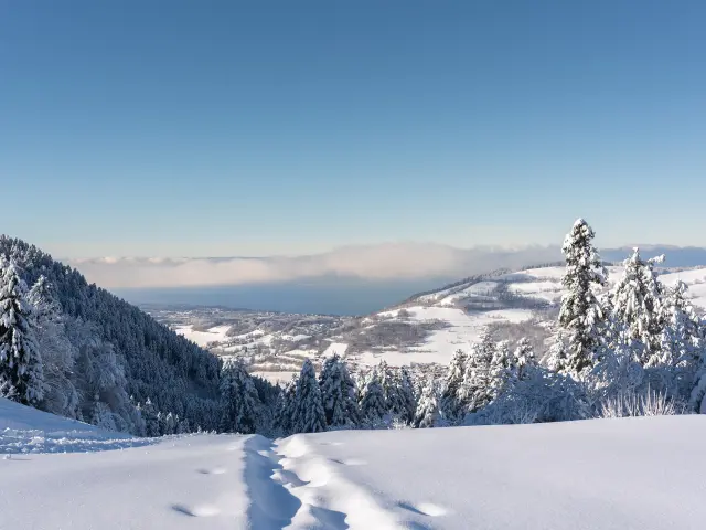 Sur les hauteurs de la station de ski de Bernex, on voit un paysage enneigé avec, en contrebas, une vue sur le Léman et la suisse, de l'autre côté, sous un grand ciel bleu.