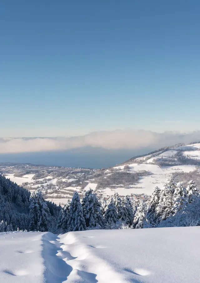 Sur les hauteurs de la station de ski de Bernex, on voit un paysage enneigé avec, en contrebas, une vue sur le Léman et la suisse, de l'autre côté, sous un grand ciel bleu.