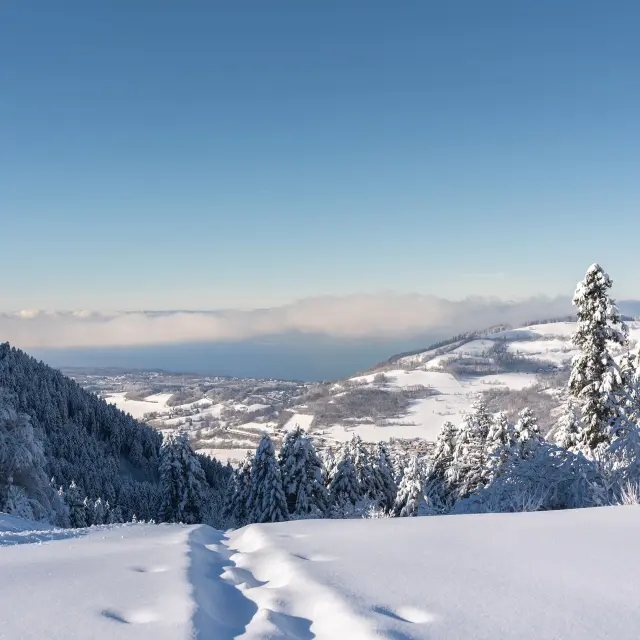 Sur les hauteurs de la station de ski de Bernex, on voit un paysage enneigé avec, en contrebas, une vue sur le Léman et la suisse, de l'autre côté, sous un grand ciel bleu.