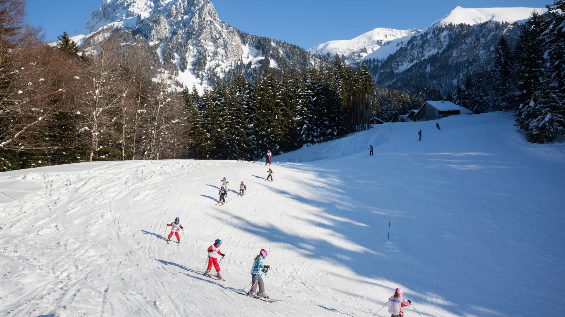 Photographe - ingénieur agronom