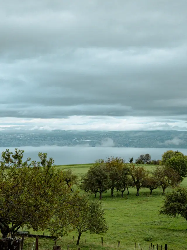 Fete De La Pomme Saint Paul En Chablais Automne 131024 Marie El Hajal 43