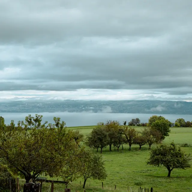 Fete De La Pomme Saint Paul En Chablais Automne 131024 Marie El Hajal 43