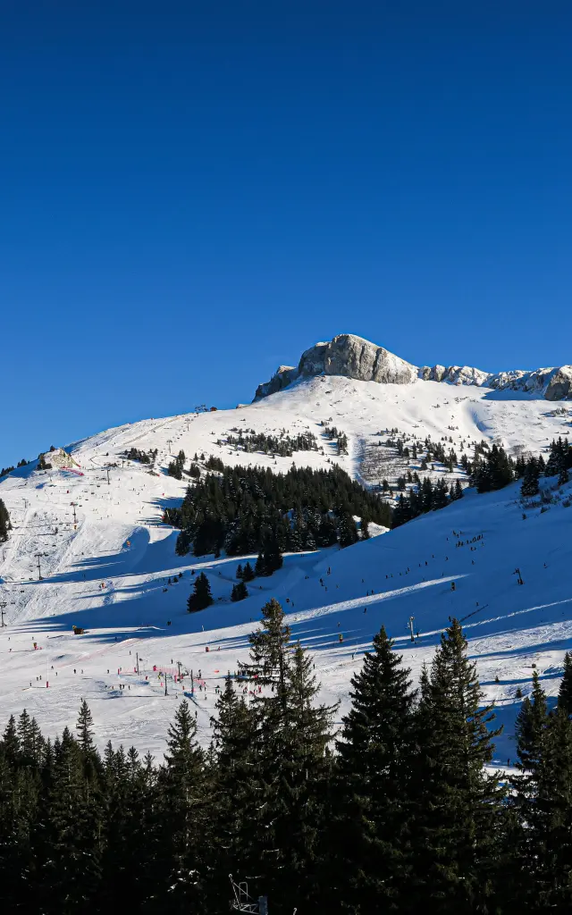 Photo 20 02 2020 16 30 24