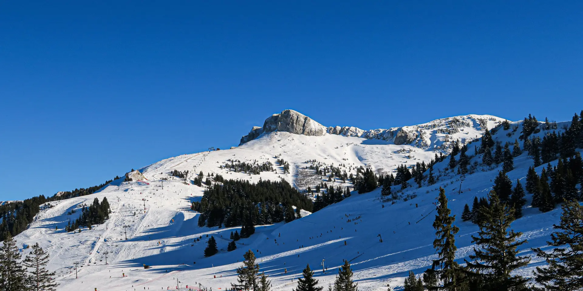 Photo 20 02 2020 16 30 24