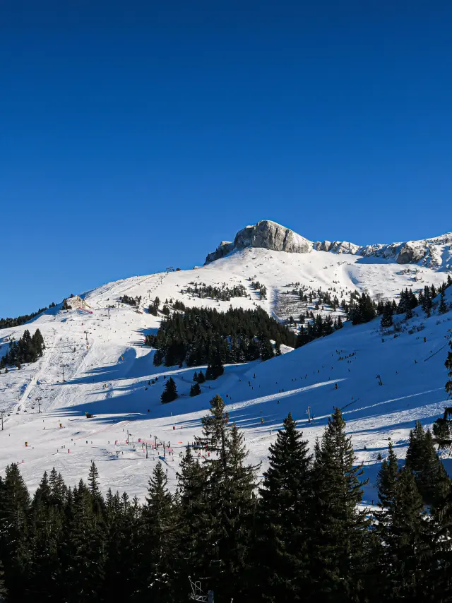 Photo 20 02 2020 16 30 24