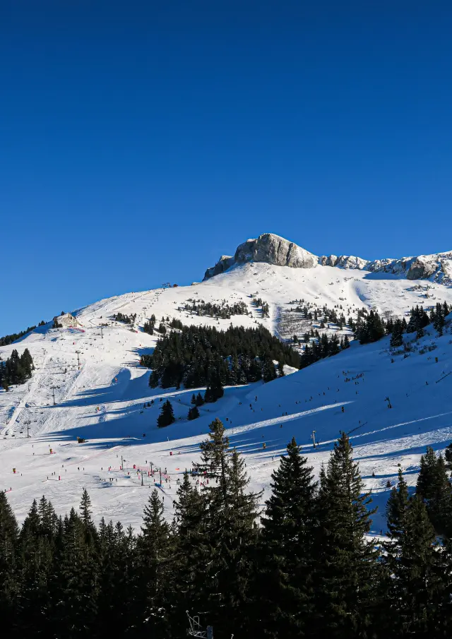 Photo 20 02 2020 16 30 24