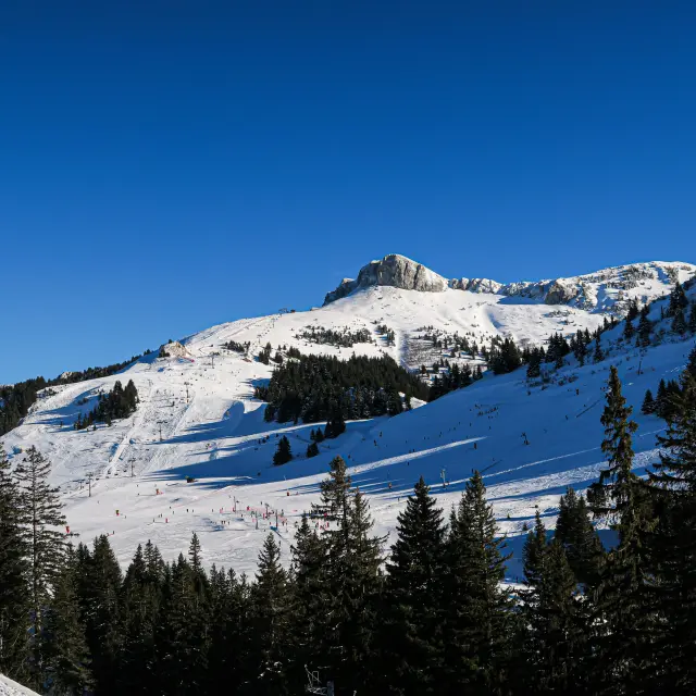 Photo 20 02 2020 16 30 24