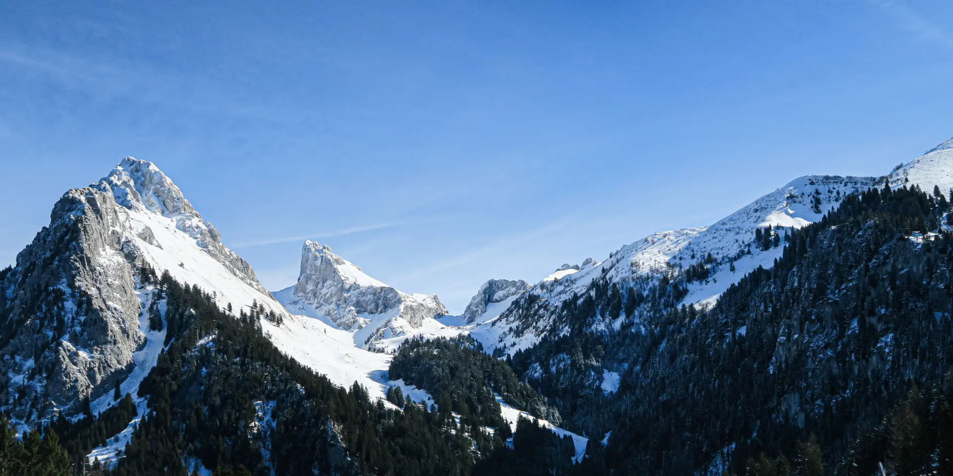 Paysage Bernex Hiver 24 01 2020otpeva 12