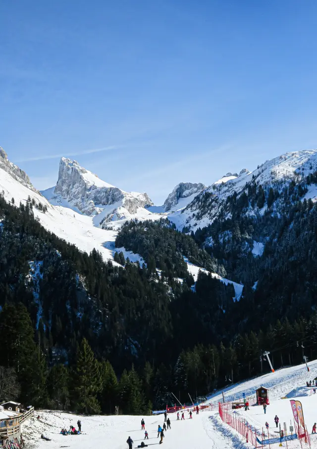 Paysage Bernex Hiver 24 01 2020otpeva 12