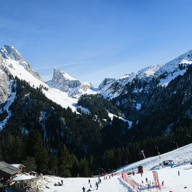 Paysage Bernex Hiver 24 01 2020otpeva 12