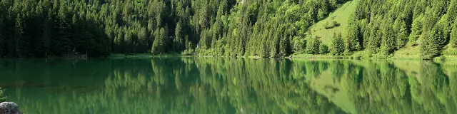 Lac Des Plagnes Juin 2017 43 Patrick Brault 9