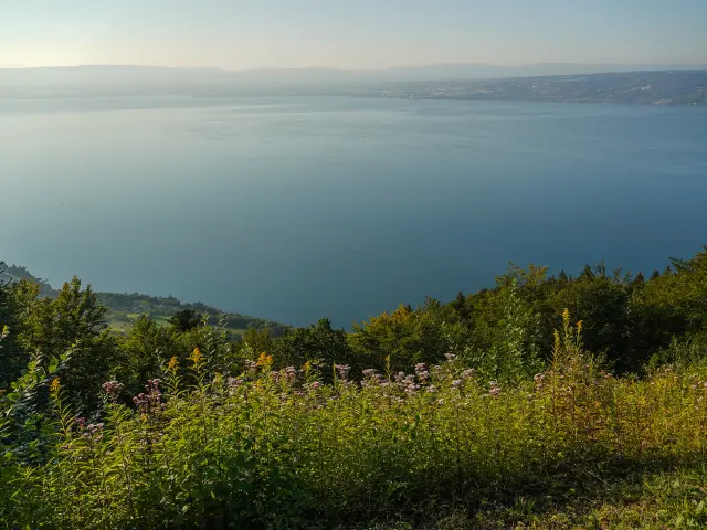 Pas Du Leman Thollon Les Memises Manon Servoz 30