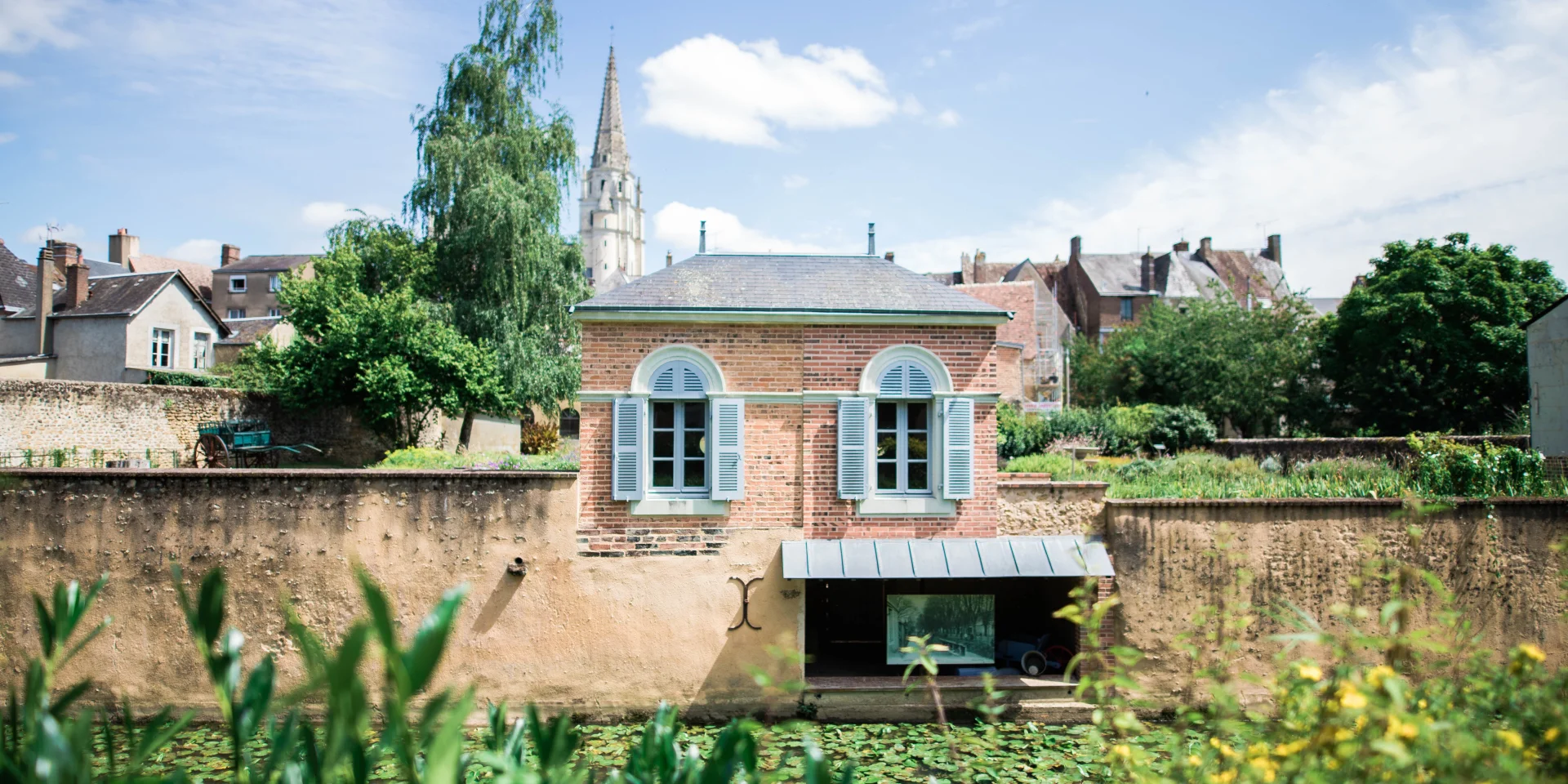 Afbeelding 1446 1