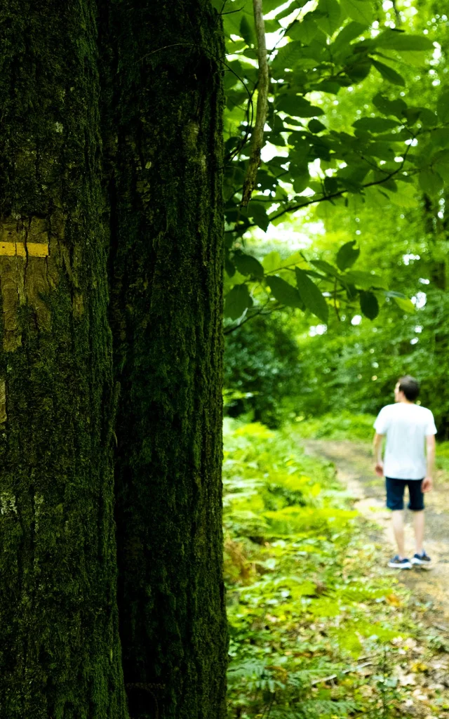 Chemin 2 Z7z5797