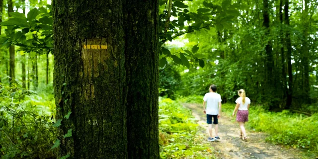 Chemin 2 Z7z5797