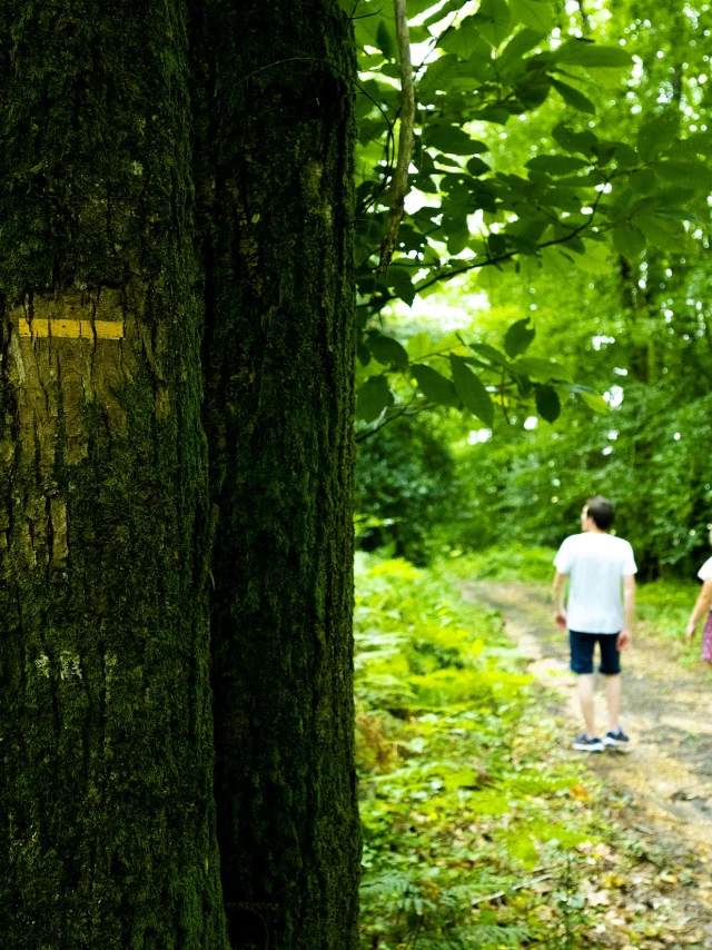 Chemin 2 Z7z5797