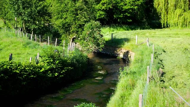 P1037655