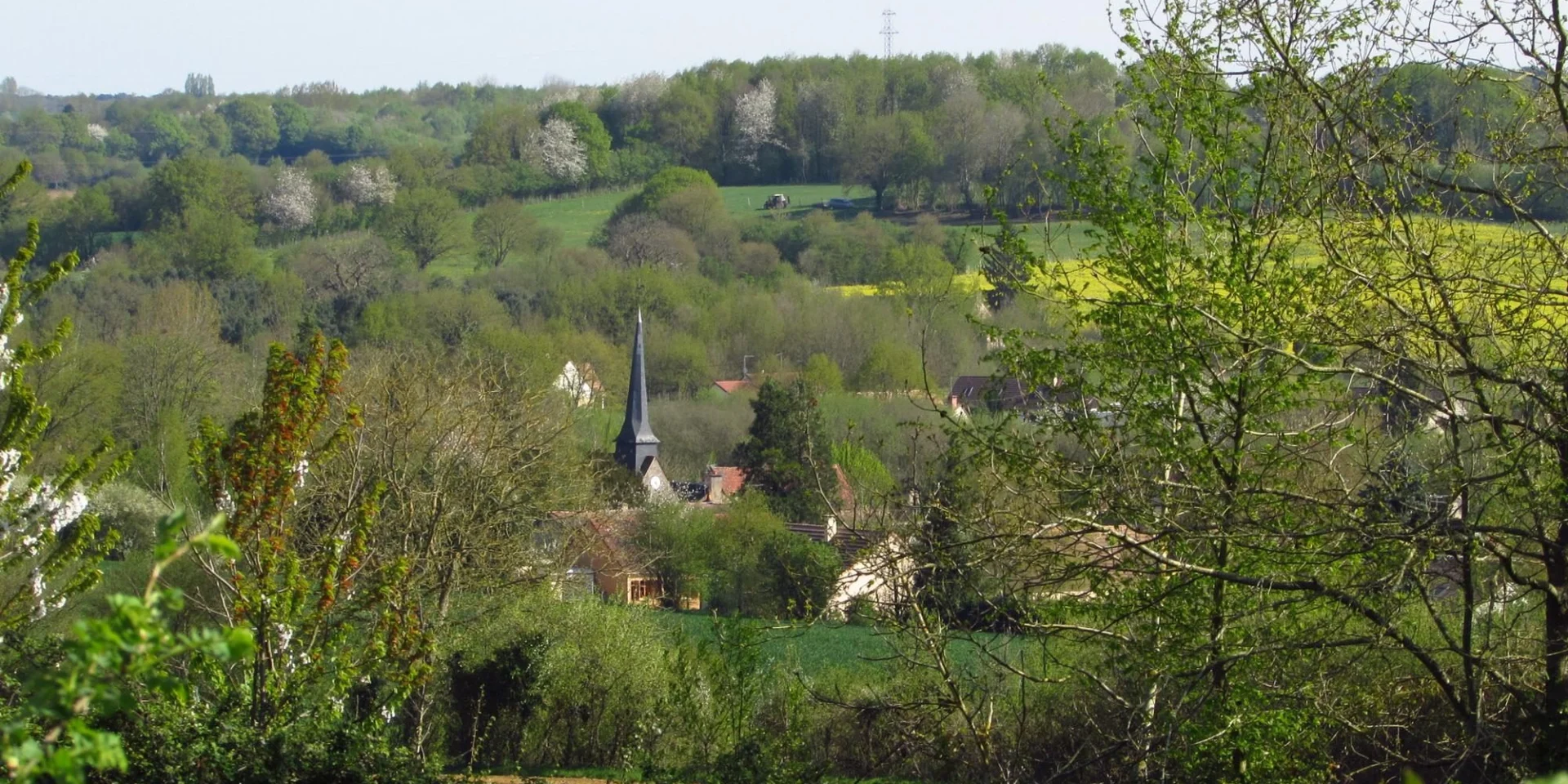 Cropped Img 1303 1
