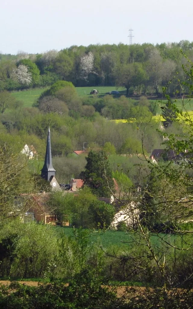 Cropped Img 1303 1