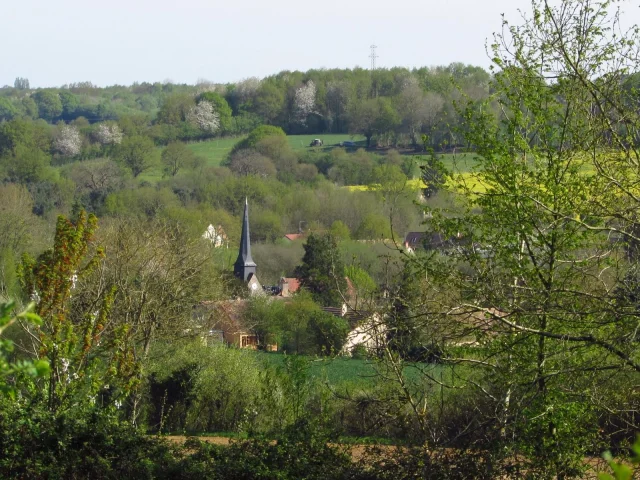 Cropped Img 1303 1