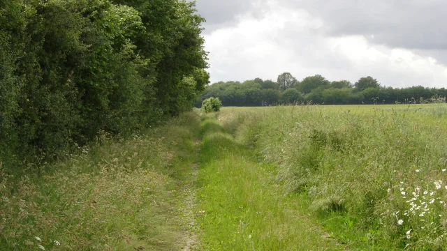 Dsc00888