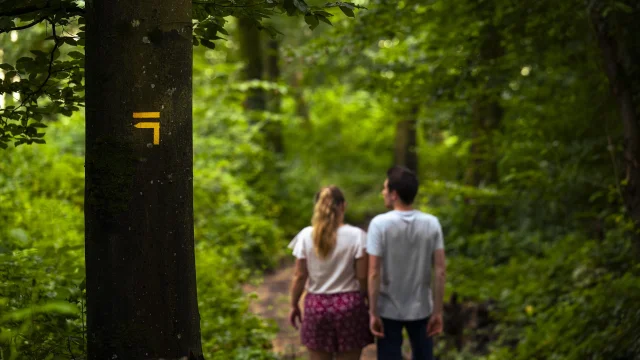 Chemin 2 Z9n1044