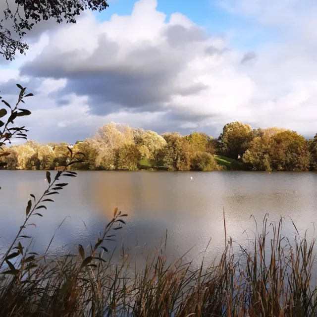 Instagram #lafertebernard