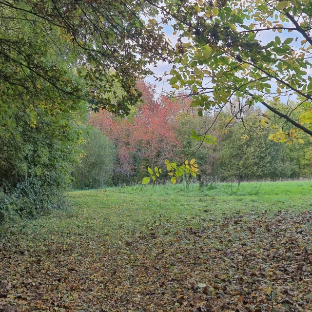 Instagram #perchesarthois