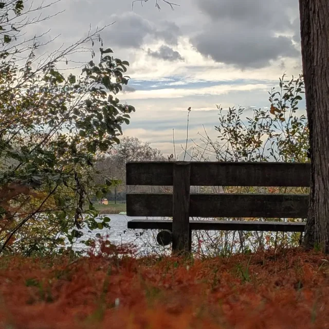 Instagram #lafertebernard