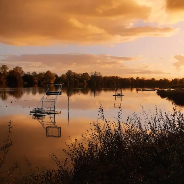 Instagram #lafertebernard