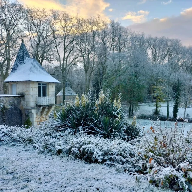 Instagram #courtanvaux