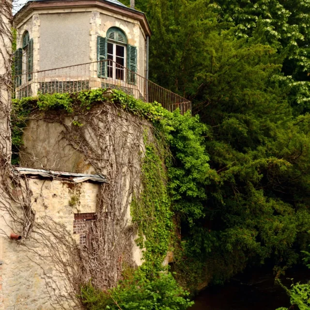 Instagram #lafertebernard