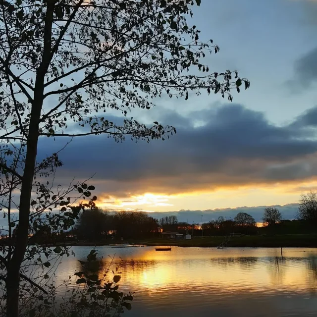 Instagram #lafertebernard