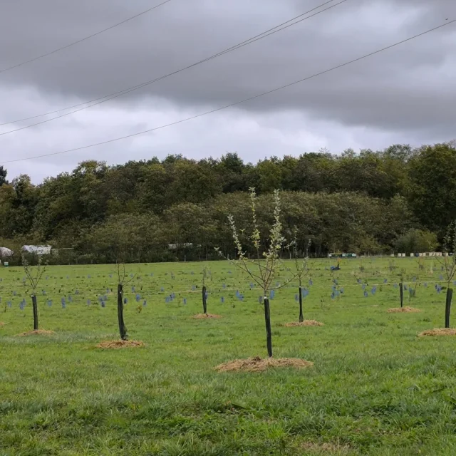 Instagram #perchesarthois