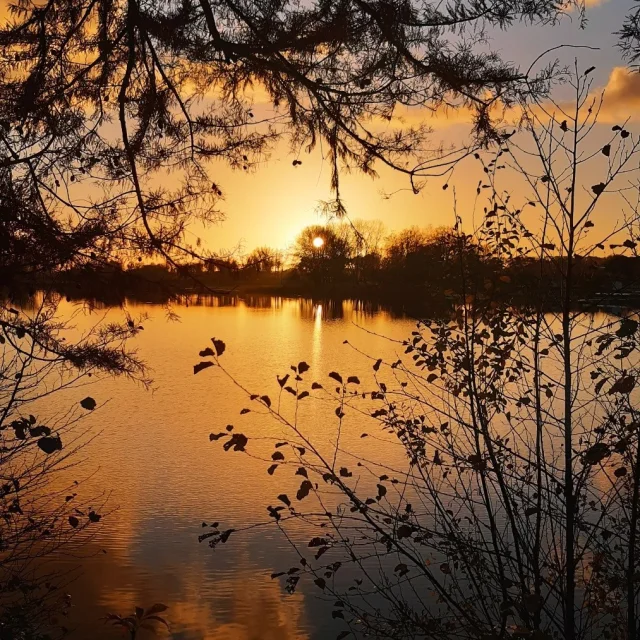 Instagram #lafertebernard