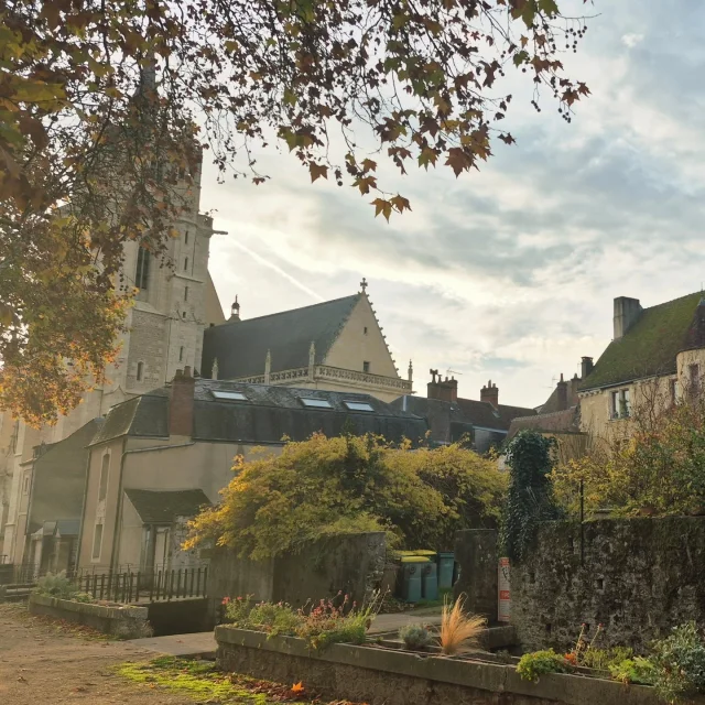 Instagram #lafertebernard