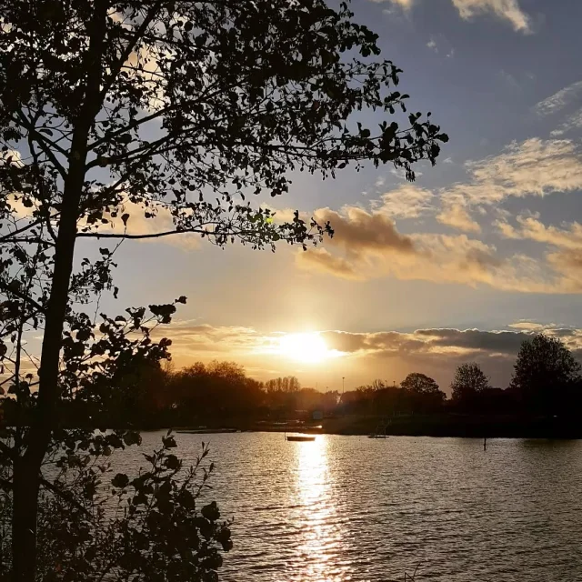 Instagram #lafertebernard