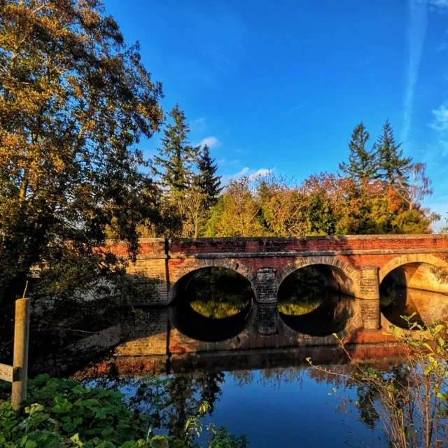 Instagram #perchesarthois