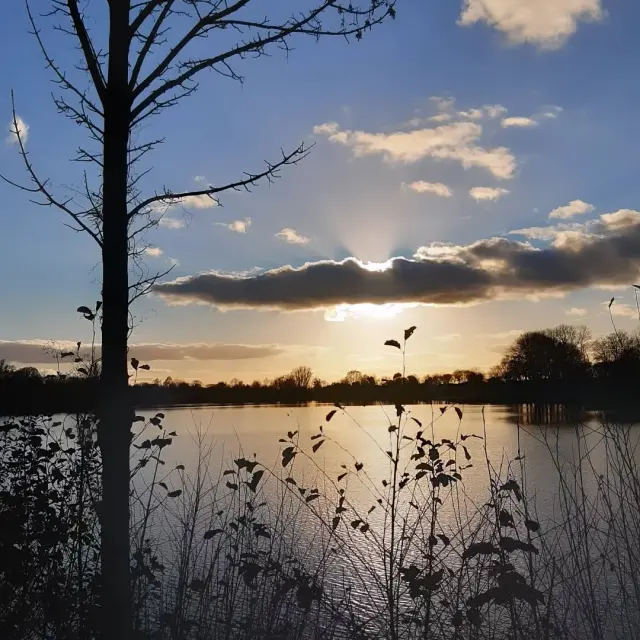 Instagram #lafertebernard