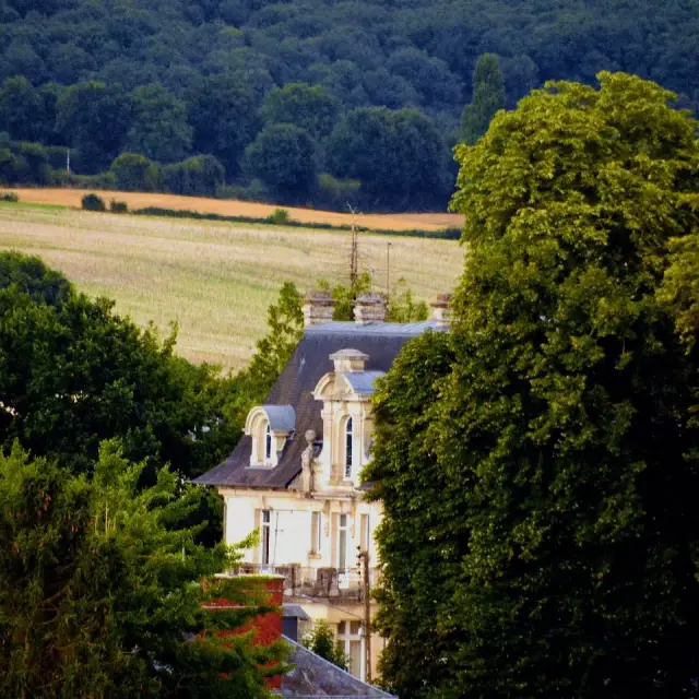 Instagram #lafertebernard