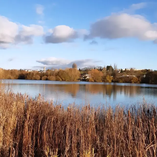 Instagram #lafertebernard