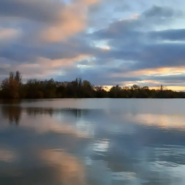 Instagram #lafertebernard