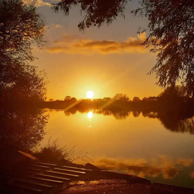 Instagram #lafertebernard