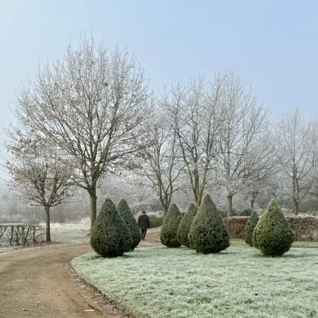 Instagram #perchesarthois