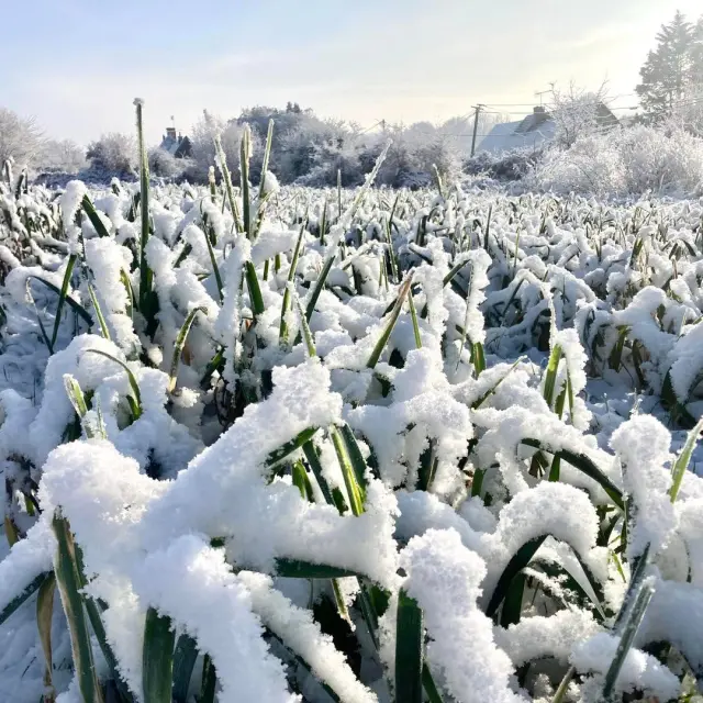 Instagram #lafertebernard