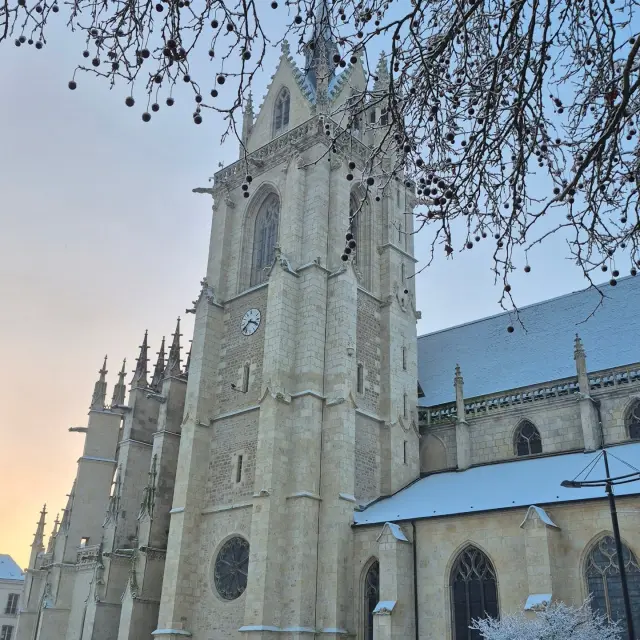 Instagram #lafertebernard